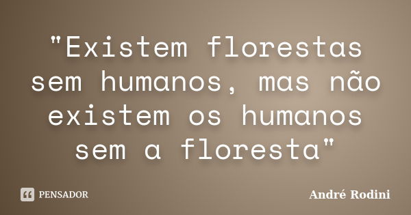 "Existem florestas sem humanos, mas não existem os humanos sem a floresta"... Frase de André Rodini.