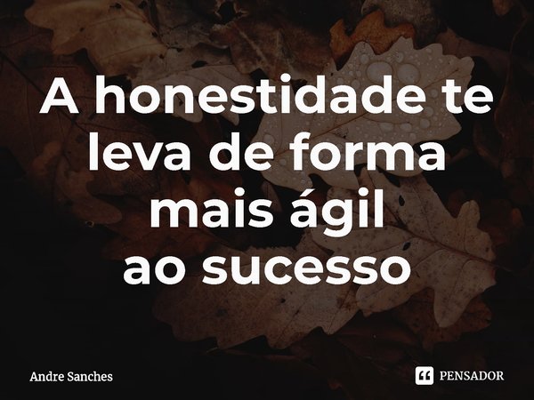 ⁠A honestidade te leva de forma mais ágil aosucesso... Frase de Andre Sanches.