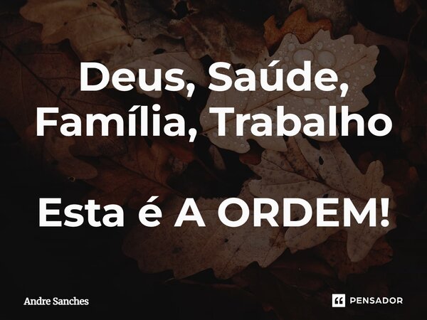 Deus, Saúde, Família, Trabalho Esta é A ORDEM!... Frase de Andre Sanches.
