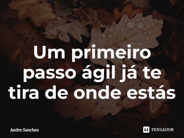 Um primeiro passo ágil já te tira de onde estás... Frase de Andre Sanches.