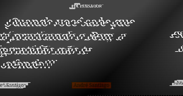 Quando você sabe que está praticando o Bem, a ingratidão não te ofende!!!... Frase de André Santiago.