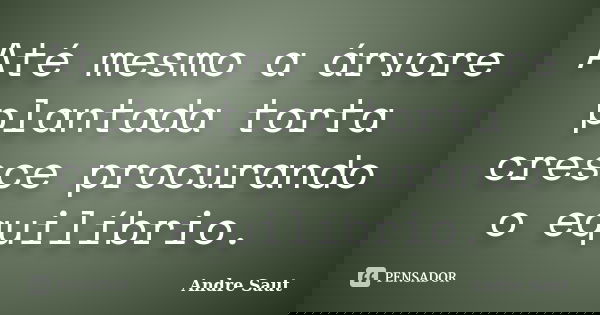 Até mesmo a árvore plantada torta cresce procurando o equilíbrio.... Frase de André Saut.