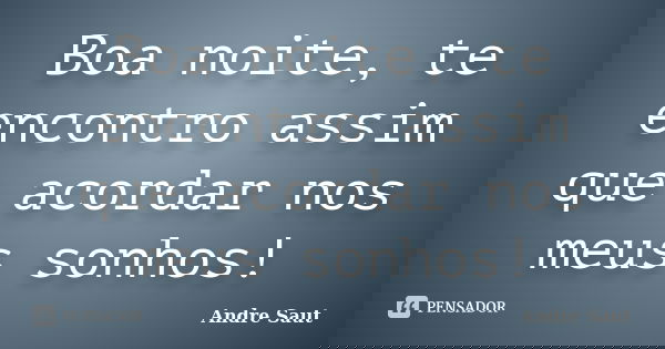 Boa noite, te encontro assim que acordar nos meus sonhos!... Frase de Andre Saut.
