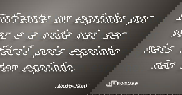 Enfrente um espinho por vez e a vida vai ser mais fácil pois espinho não tem espinho.... Frase de André Saut.