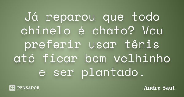 Já reparou que todo chinelo é chato? Vou preferir usar tênis até ficar bem velhinho e ser plantado.... Frase de André Saut.