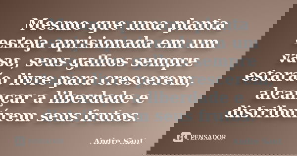 Mesmo que uma planta esteja aprisionada em um vaso, seus galhos sempre estarão livre para crescerem, alcançar a liberdade e distribuírem seus frutos.... Frase de André Saut.