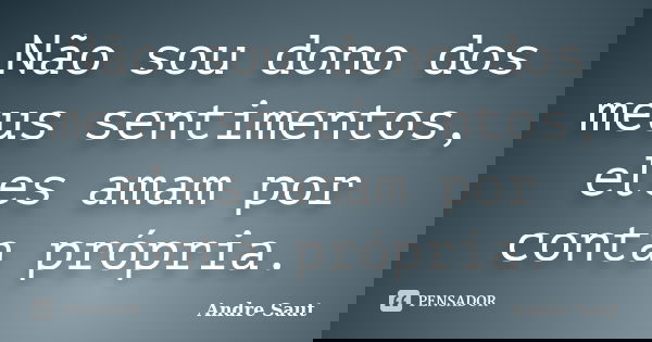 Não sou dono dos meus sentimentos, eles amam por conta própria.... Frase de Andre Saut.