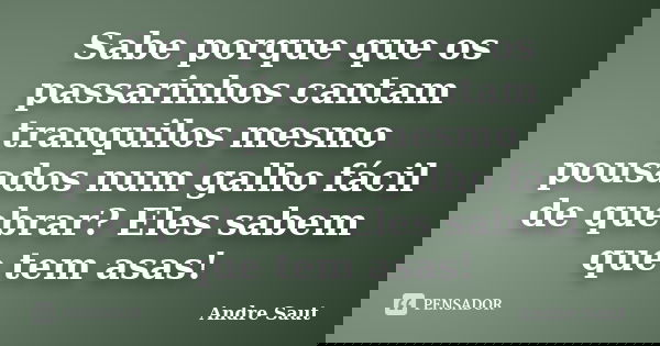 Sabe porque que os passarinhos cantam tranquilos mesmo pousados num galho fácil de quebrar? Eles sabem que tem asas!... Frase de André Saut.