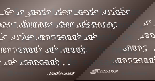 Se o gato tem sete vidas o ser humano tem dezenas, pois vive morrendo de amor, morrendo de medo, morrendo de cansado...... Frase de André Saut.