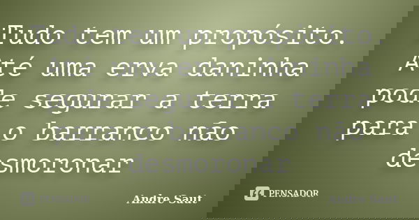 Tudo tem um propósito. Até uma erva daninha pode segurar a terra para o barranco não desmoronar... Frase de Andre Saut.
