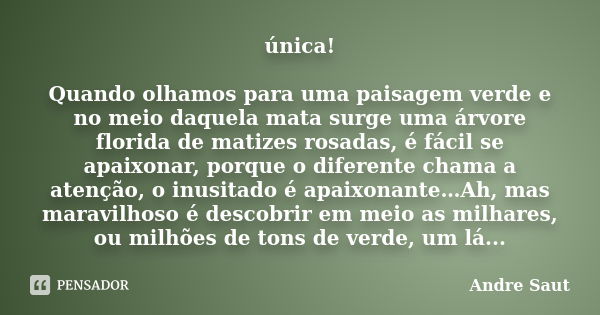 única! Quando olhamos para uma paisagem verde e no meio daquela mata surge uma árvore florida de matizes rosadas, é fácil se apaixonar, porque o diferente chama... Frase de André Saut.