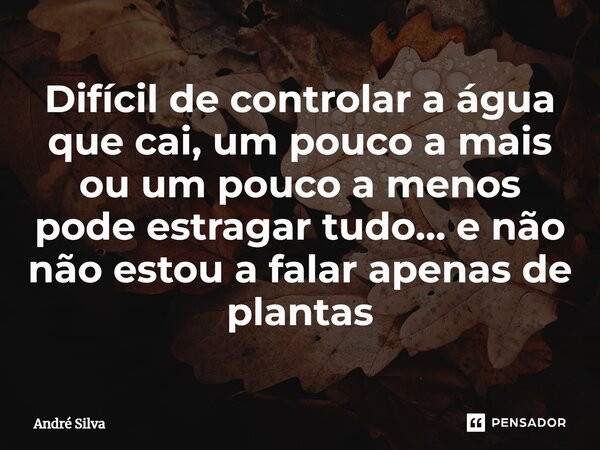 ⁠Difícil de controlar a água que cai, um pouco a mais ou um pouco a menos pode estragar tudo… e não não estou a falar apenas de plantas... Frase de andre silva.