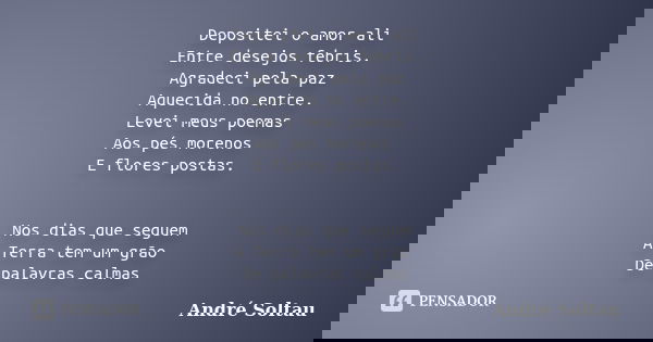 Depositei o amor ali Entre desejos febris. Agradeci pela paz Aquecida no entre. Levei meus poemas Aos pés morenos E flores postas. Nos dias que seguem A Terra t... Frase de André Soltau.