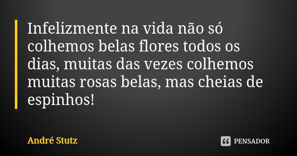 Infelizmente na vida não só colhemos belas flores todos os dias, muitas das vezes colhemos muitas rosas belas, mas cheias de espinhos!... Frase de André Stutz.