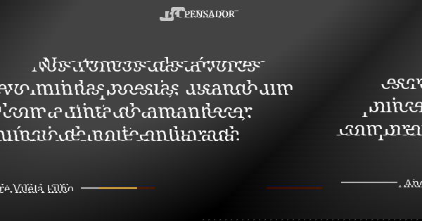 Nos troncos das árvores escrevo minhas poesias, usando um pincel com a tinta do amanhecer, com prenúncio de noite enluarada.... Frase de André Vilela Filho.
