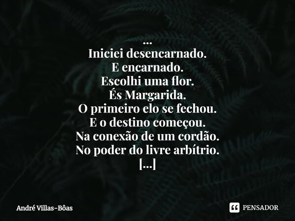 ⁠... Iniciei desencarnado. E encarnado. Escolhi uma flor. És Margarida. O primeiro elo se fechou. E o destino começou. Na conexão de um cordão. No poder do livr... Frase de André Villas-Bôas.