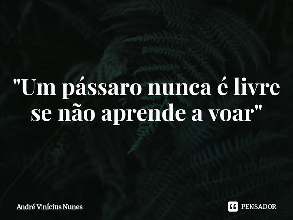 "⁠Um pássaro nunca é livre se não aprende a voar"... Frase de André Vinícius Nunes.