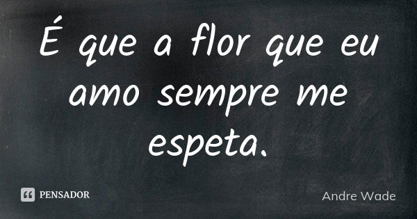 É que a flor que eu amo sempre me espeta.... Frase de Andre Wade.