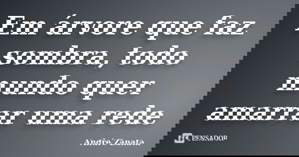 Em árvore que faz sombra, todo mundo quer amarrar uma rede... Frase de André Zanata.