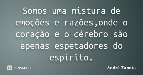 Somos uma mistura de emoções e razões,onde o coração e o cérebro são apenas espetadores do espírito.... Frase de André Zanata.