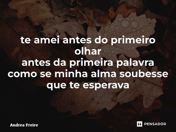 ⁠te amei antes do primeiro olhar antes da primeira palavra como se minha alma soubesse que te esperava... Frase de Andrea Freire.