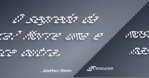 O segredo da mosca? Morre uma e nasce outra.... Frase de Andrea Paiva.