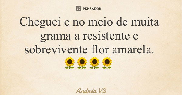 Cheguei e no meio de muita grama a resistente e sobrevivente flor amarela. 🌻🌻🌻🌻... Frase de Andréa VS.