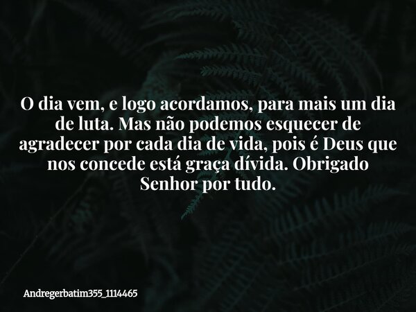 O dia vem, e logo acordamos, para mais um dia de luta. Mas não podemos esquecer de agradecer por cada dia de vida, pois é Deus que nos concede está graça dívida... Frase de Andregerbatim355_1114465.