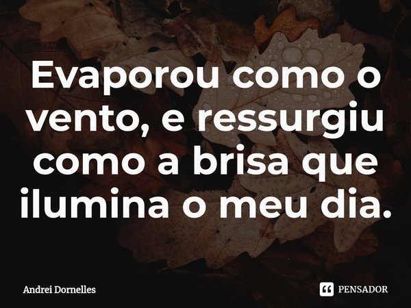 ⁠Evaporou como o vento, e ressurgiu como a brisa que ilumina o meu dia.... Frase de Andrei Dornelles.