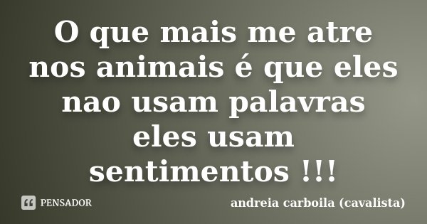 O que mais me atre nos animais é que eles nao usam palavras eles usam sentimentos !!!... Frase de Andreia Carboila (cavalista).