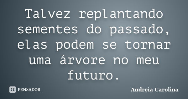 Talvez replantando sementes do passado, elas podem se tornar uma árvore no meu futuro.... Frase de Andreia Carolina.