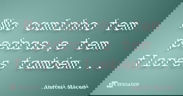 No caminho tem pedras,e tem flores também...... Frase de Andreia Macedo.