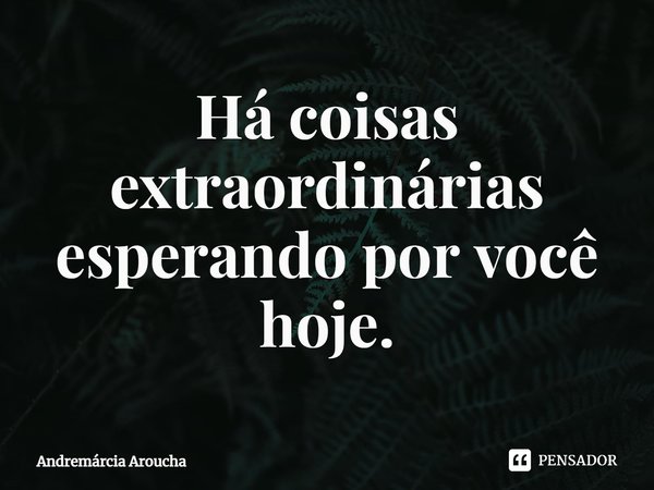 ⁠Há coisas extraordinárias esperando por você hoje.... Frase de Andremárcia Aroucha.