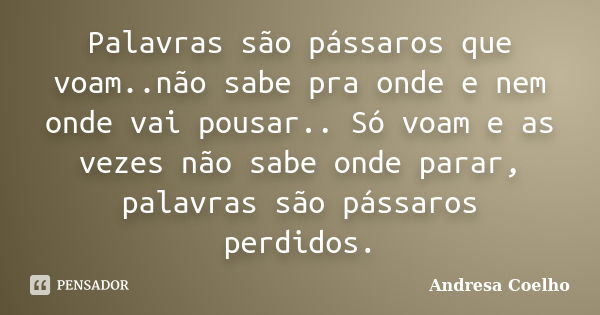 Palavras são pássaros que voam..não sabe pra onde e nem onde vai pousar.. Só voam e as vezes não sabe onde parar, palavras são pássaros perdidos.... Frase de Andresa Coelho.