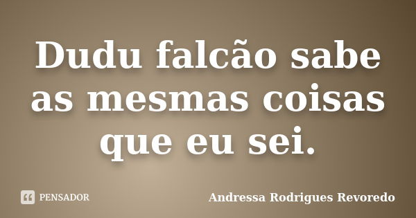 Dudu falcão sabe as mesmas coisas que eu sei.... Frase de Andressa Rodrigues Revoredo.