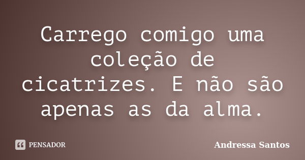 Carrego comigo uma coleção de cicatrizes. E não são apenas as da alma.... Frase de Andressa Santos.