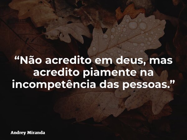 “Não acredito em deus, mas acredito piamente na incompetência das pessoas.”... Frase de Andrey Miranda.