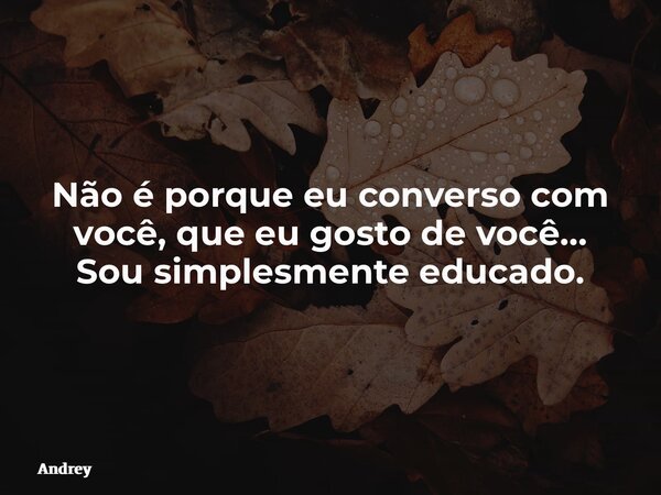 Não é porque eu converso com você, que eu gosto de você… Sou simplesmente educado.... Frase de Andrey.