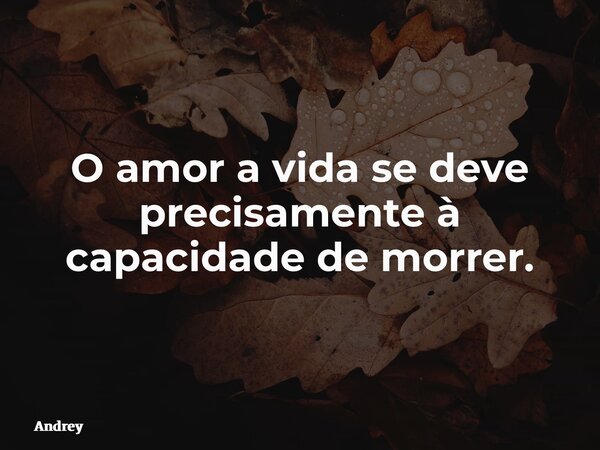 O amor a vida se deve precisamente à capacidade de morrer.... Frase de Andrey.