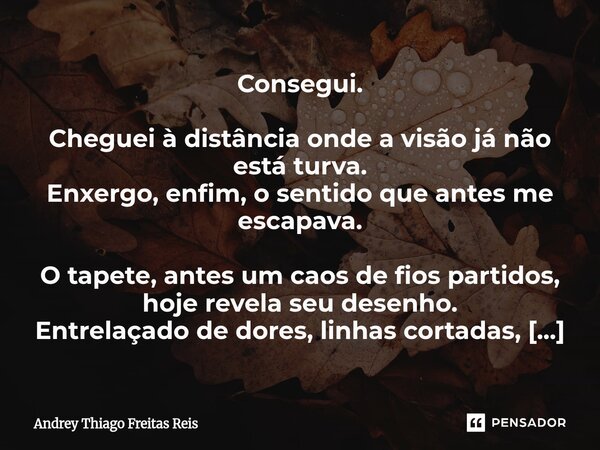 Consegui. Cheguei à distância onde a visão já não está turva. Enxergo, enfim, o sentido que antes me escapava. O tapete, antes um caos de fios partidos, hoje r... Frase de Andrey Thiago Freitas Reis.