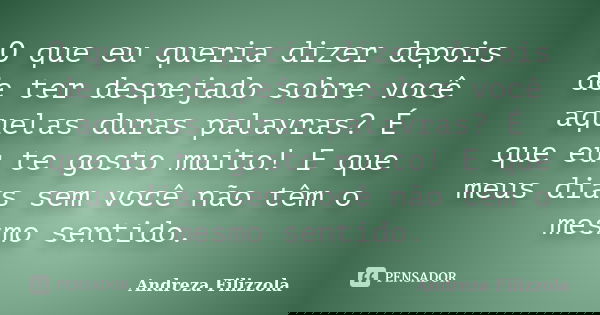 O que eu queria dizer depois de ter despejado sobre você aquelas duras palavras? É que eu te gosto muito! E que meus dias sem você não têm o mesmo sentido.... Frase de Andreza Filizzola.