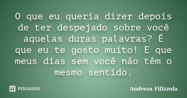 O que eu queria dizer depois de ter despejado sobre você aquelas duras palavras? É que eu te gosto muito! E que meus dias sem você não têm o mesmo sentido.... Frase de Andreza Filizzola.