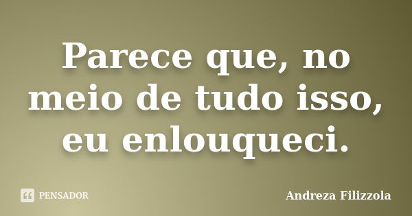 Parece que, no meio de tudo isso, eu enlouqueci.... Frase de Andreza Filizzola.