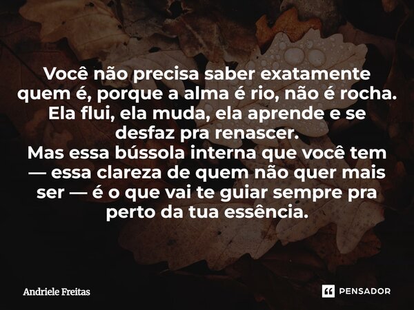 Você não precisa saber exatamente quem é, porque a alma é rio, não é rocha. Ela flui, ela muda, ela aprende e se desfaz pra renascer. Mas essa bússola interna ... Frase de Andriele Freitas.
