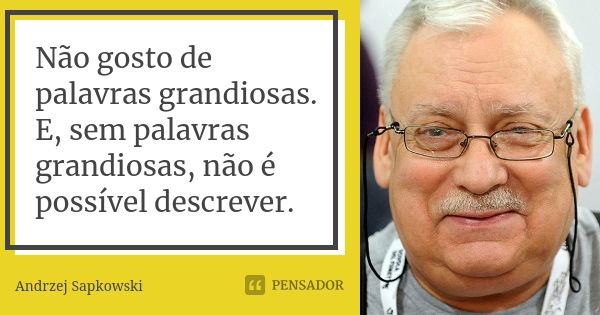 Não gosto de palavras grandiosas. E, sem palavras grandiosas, não é possível descrever.... Frase de Andrzej Sapkowski.