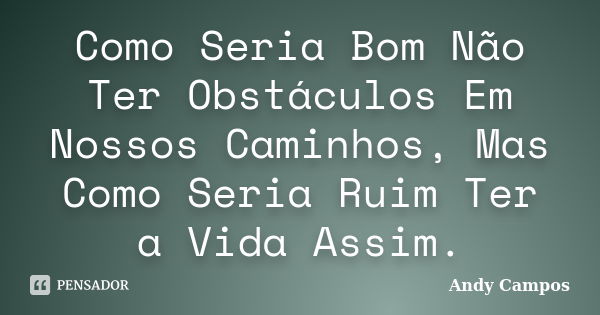 Como Seria Bom Não Ter Obstáculos Em Nossos Caminhos, Mas Como Seria Ruim Ter a Vida Assim.... Frase de Andy Campos.