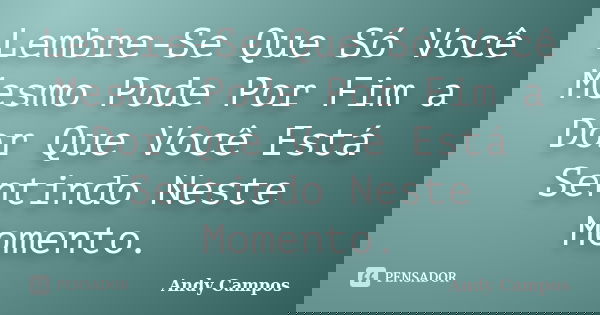 Lembre-Se Que Só Você Mesmo Pode Por Fim a Dor Que Você Está Sentindo Neste Momento.... Frase de Andy Campos.