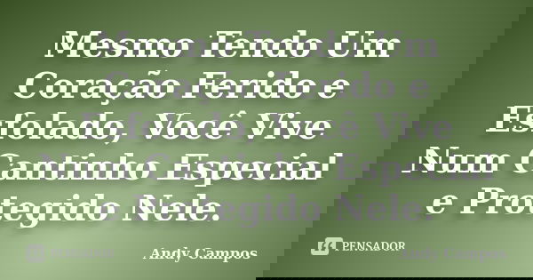 Mesmo Tendo Um Coração Ferido e Esfolado, Você Vive Num Cantinho Especial e Protegido Nele.... Frase de Andy Campos.