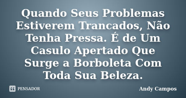 Quando Seus Problemas Estiverem Trancados, Não Tenha Pressa. É de Um Casulo Apertado Que Surge a Borboleta Com Toda Sua Beleza.... Frase de Andy Campos.