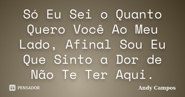 Só Eu Sei o Quanto Quero Você Ao Meu Lado, Afinal Sou Eu Que Sinto a Dor de Não Te Ter Aqui.... Frase de Andy Campos.